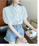 Lace Puff Sleeve Lapel Collar Blouse Shirts