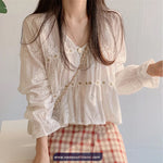 Long Sleeve V-Neck Lace Material Blouse Shirt