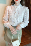 Long Sleeve Stand Neck Lace Blouse Shirt