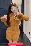 Long Sleeve Fur Collar Vintage Knitted Mini Dress