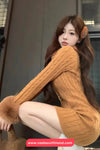 Long Sleeve Fur Collar Vintage Knitted Mini Dress