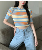 Short Sleeve Stripes Skinny Knitted Shirt