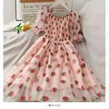 Strawberry Printed Elegant Chiffon Transparent Dress