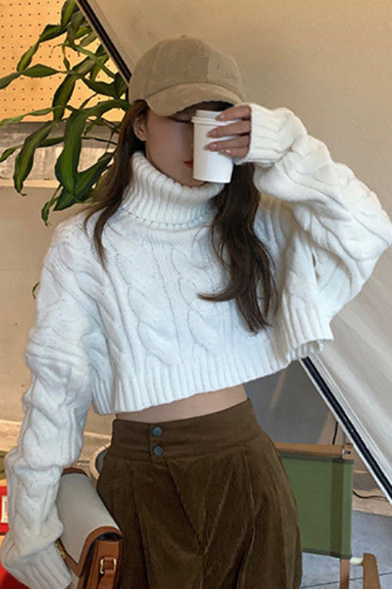 Solid Turtleneck Cropped Sweater – Nada Outfit Land