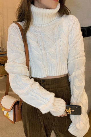 Solid Turtleneck Cropped Sweater