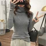 Solid Colors Slim Knitted Turtleneck Sweater