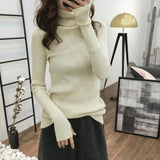 Solid Colors Slim Knitted Turtleneck Sweater